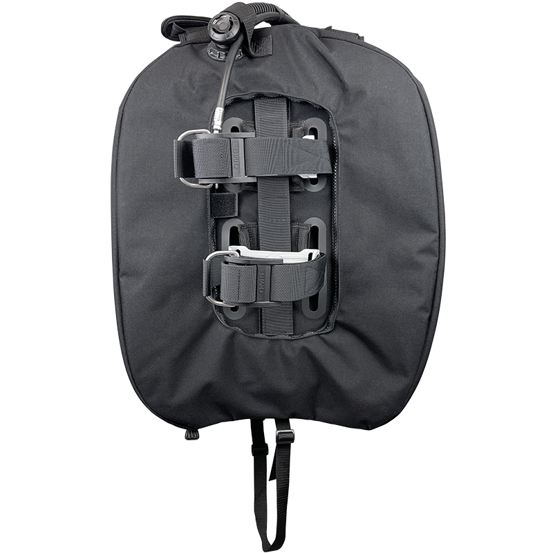 IQ Lite - back view - harness with wing