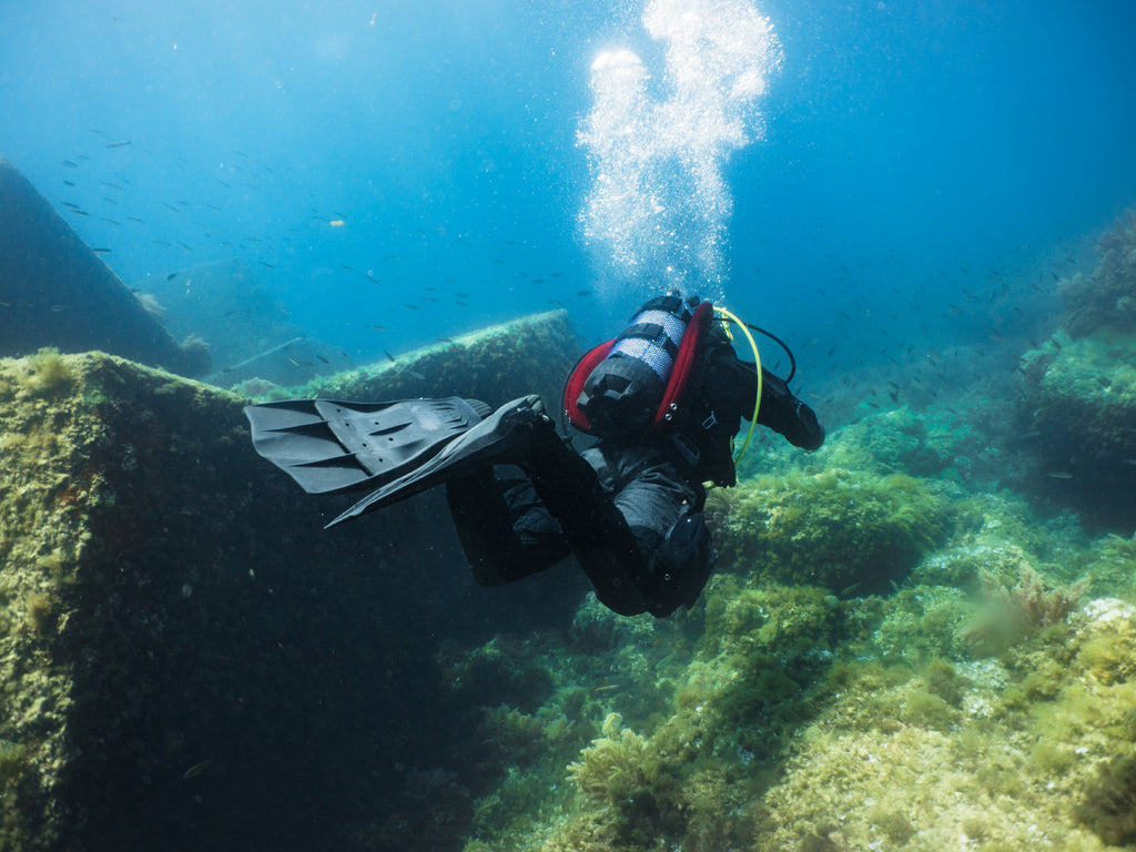 Photo Credit: Michael DK