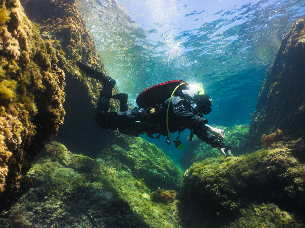 OMS Tattoo Mask - black on diver